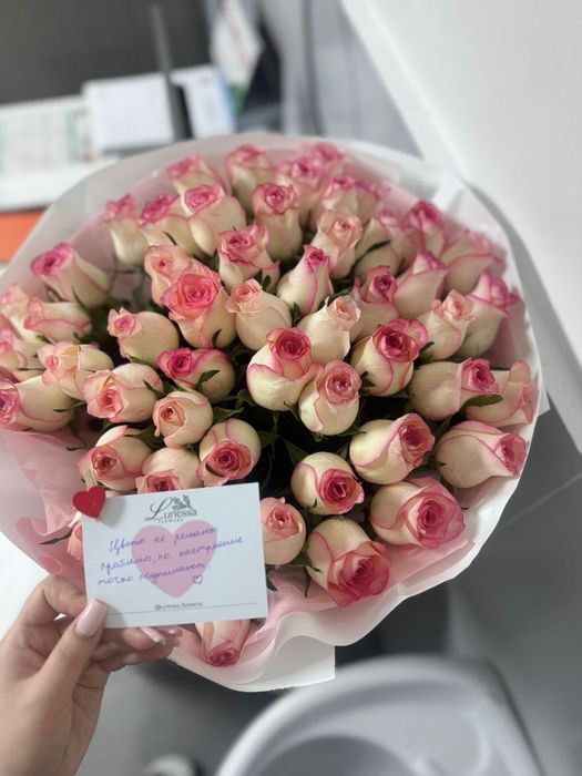 51 роза, свежие красивыее