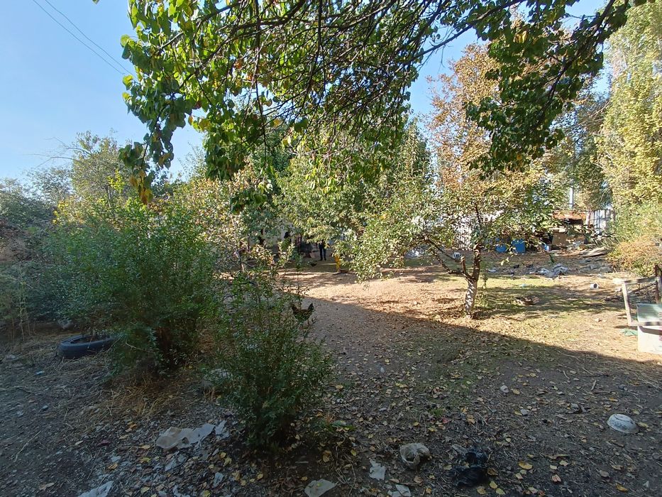 40 соток  (Янги Тошкент)