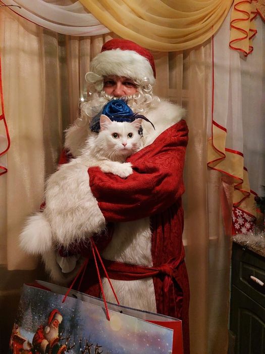 Дедушка Мороз и Снегурочка