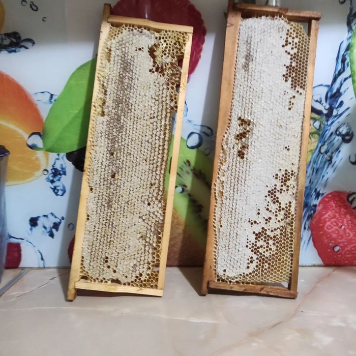 Продам Мёд с личной пасеки