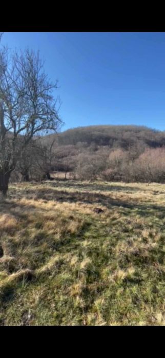 Продава се Земеделски имот в с. Углярци, Област Перник -  кв.м за 2 €/дка - Снимка #4