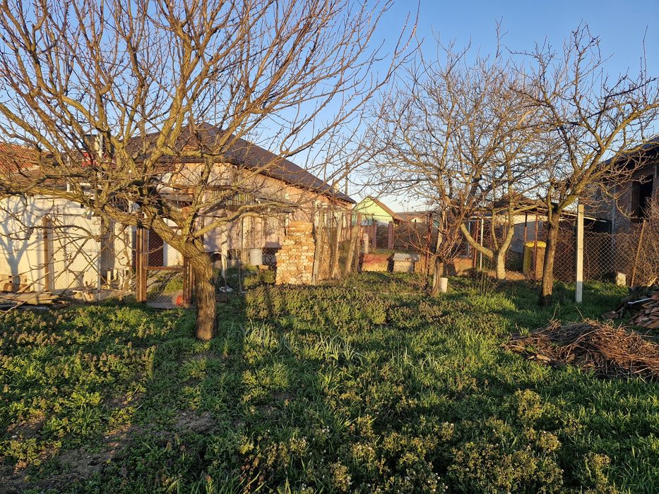 Casa de vanzare in Pancota