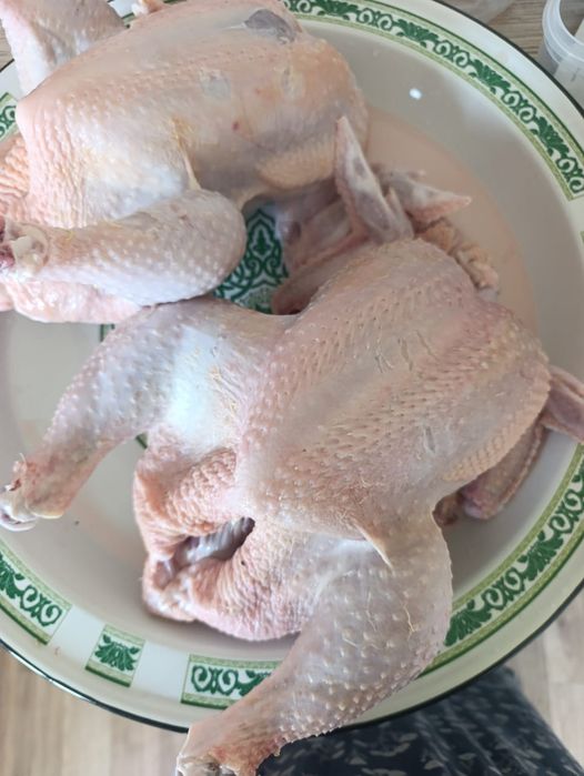 Продам бройлер домашный продукт