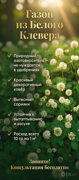 Газон удобно по карману Клевера