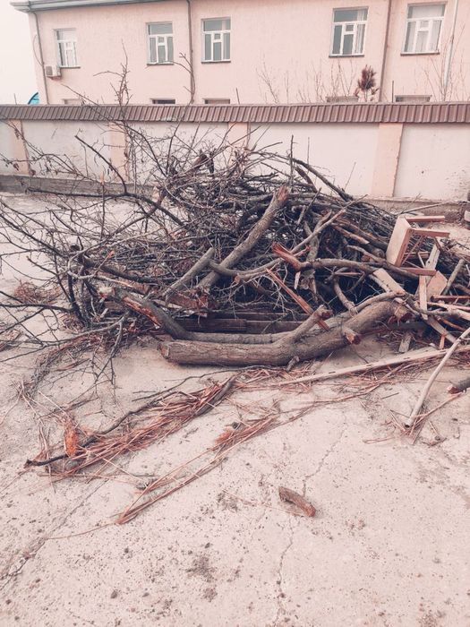 Утин сотилади / Дрова