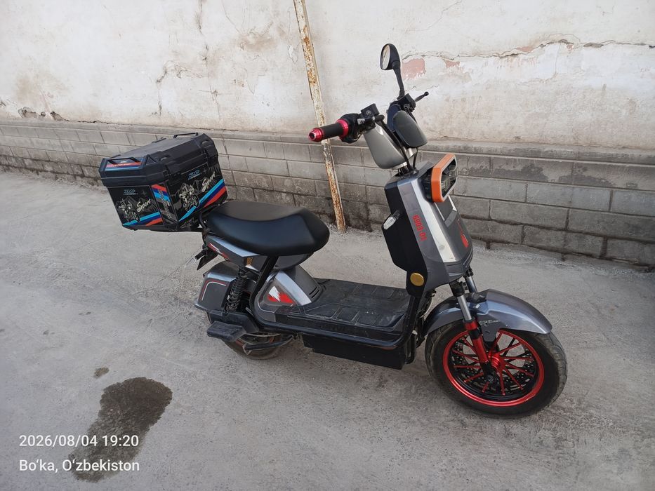 Skuter bono hama narsalari bor