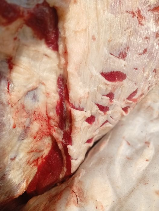 Селхоз животнии..