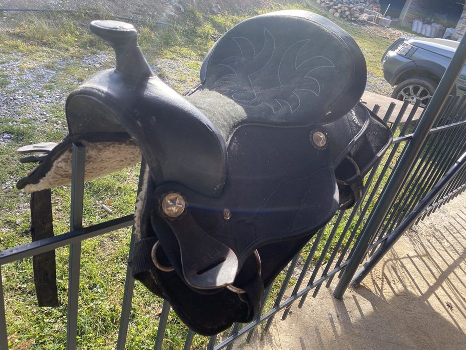 Sa pentru calarie !!!