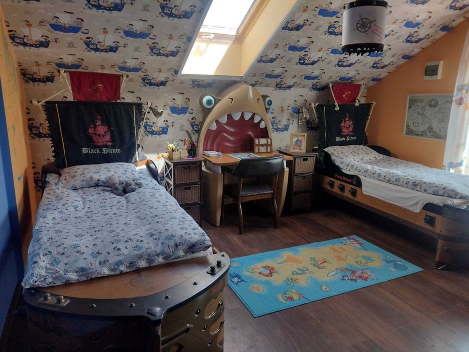 Birou rechin colectia Pirate