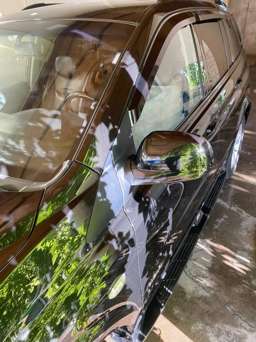 Санг йонг камерон.