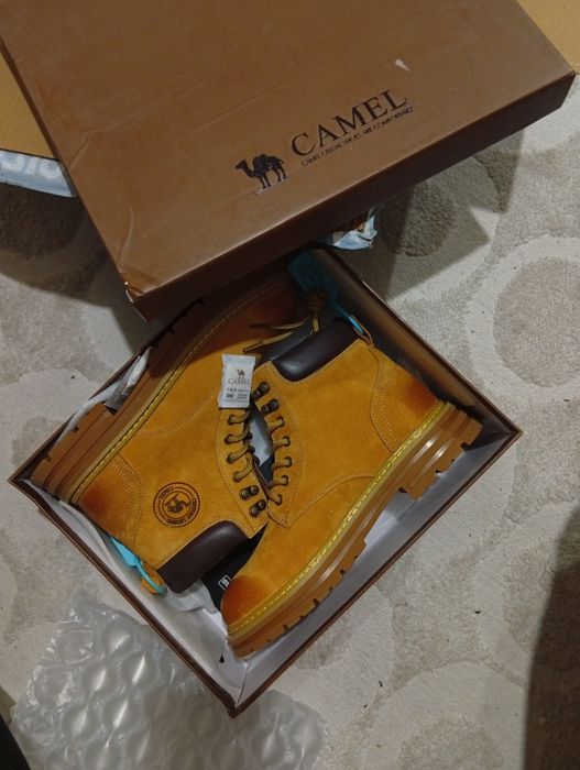 Camel "Shanxi" (c Poizon) [26см] (Весна)