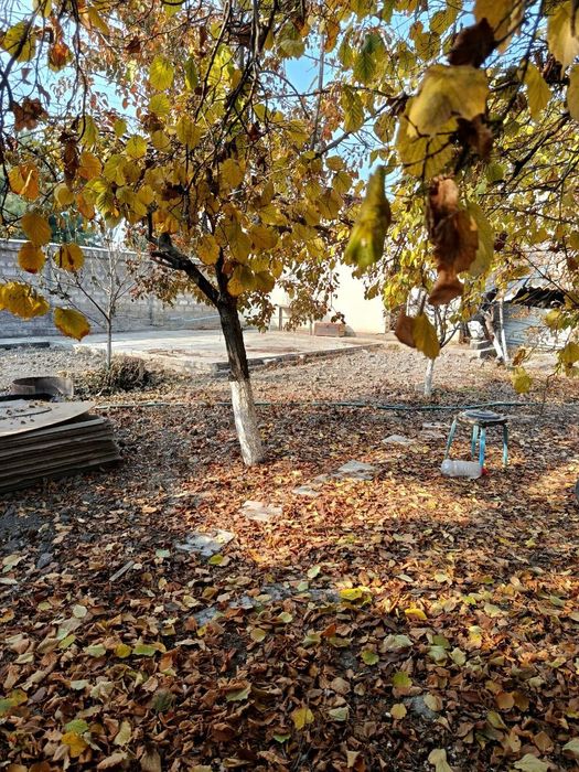 Продаю срочно дачу