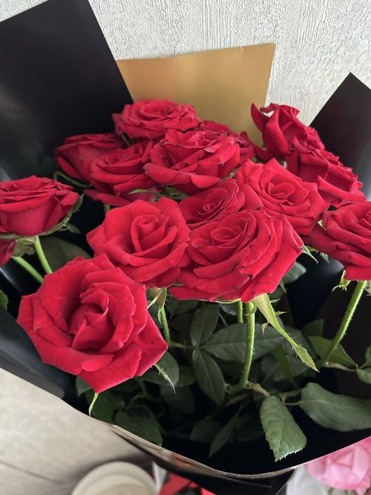 Продаю цветы по выгодной цене