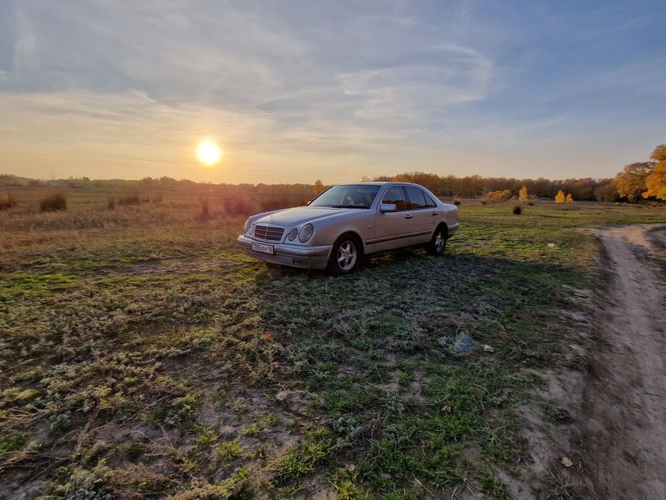 Мерс лупарик 210