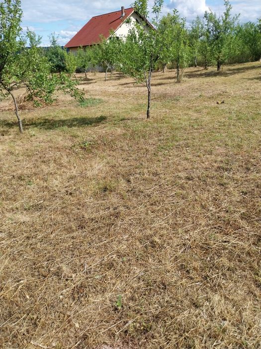 Intravilan Milcoiu jud Vâlcea