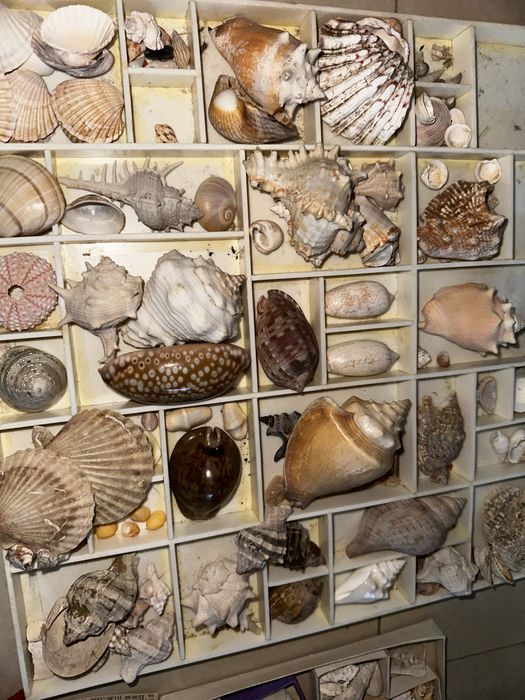 Антикварни стоки