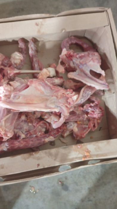 Продаю кости для собак и кошек