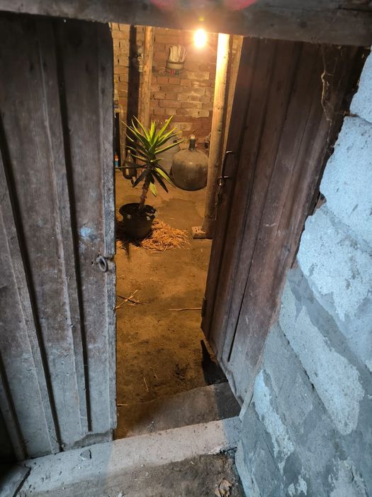 Podari casă bătrânească teren 1451 mp