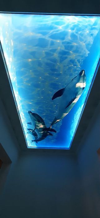 Натяжной паталог Natijnoy pataloг натижной паталок Natijnoy patalok