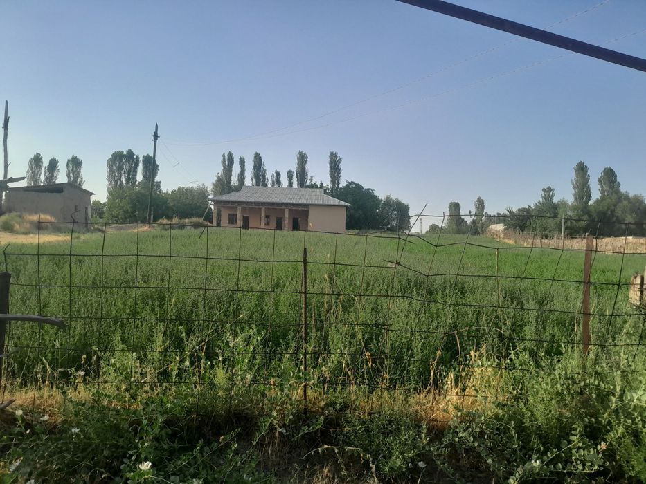 Ер участка  сатылады 25 сотк болывкам сатылады чарвачылика зор жай