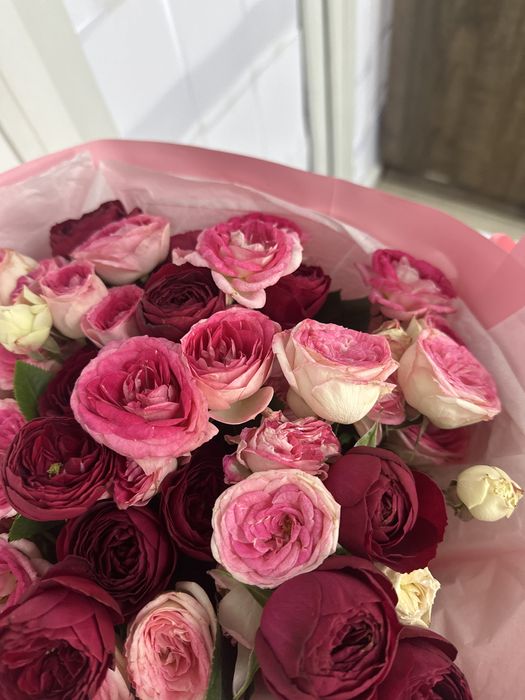 продам цветы срочно