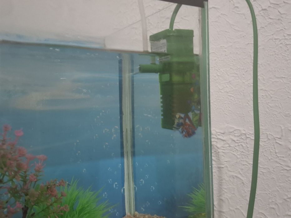 Продаю аквариум .