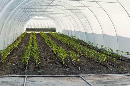 Sisteme irigatii rezindentiale-industriale prin picurare si aspersoare