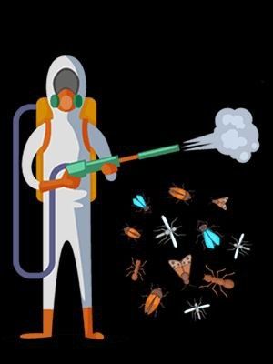 Dezinfeksiya xizmati