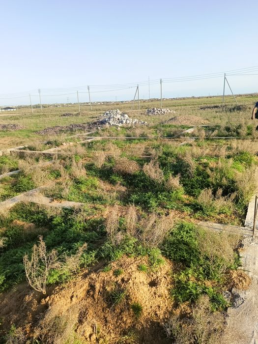 Участок.  Жер сатылады.