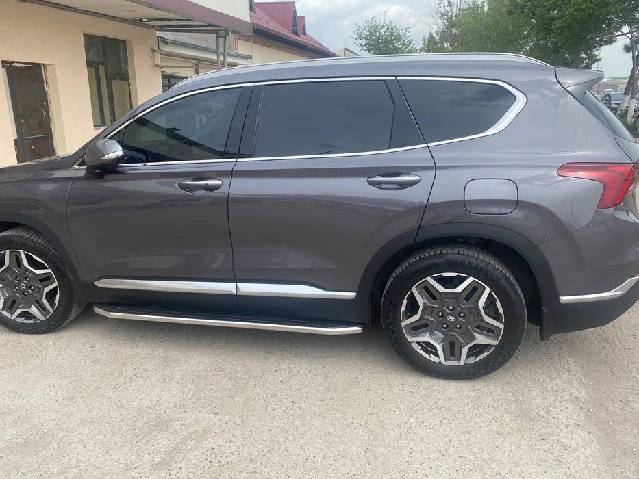 Molding Eshik / Молдинг Эшик / Дверь Hyundai SANTA FE