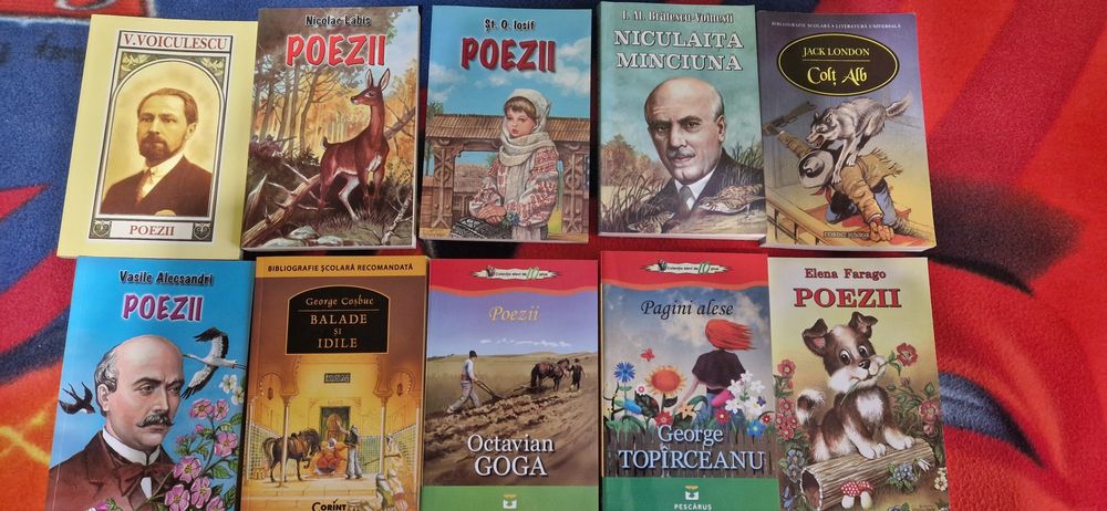 Carti pentru bibliografie scolara