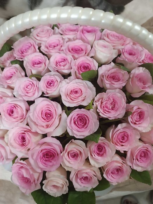 Букет свежий ,подарили сегодня !