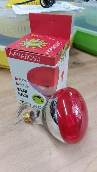 Инфра лампа за отопление на малки птици