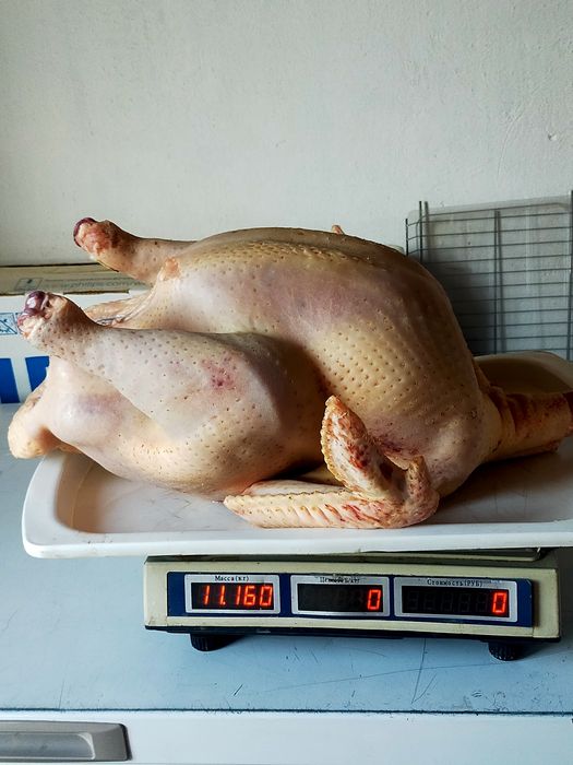 В продаже тушки индейки