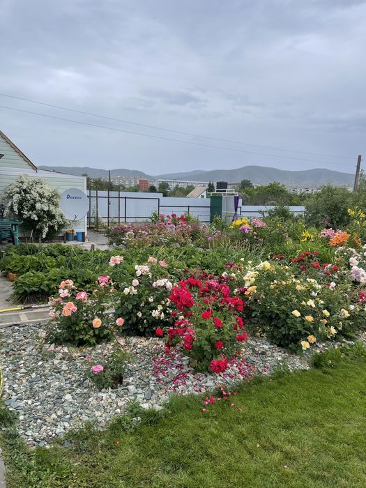 Продается  шикарная дача в Новой Бухтарме