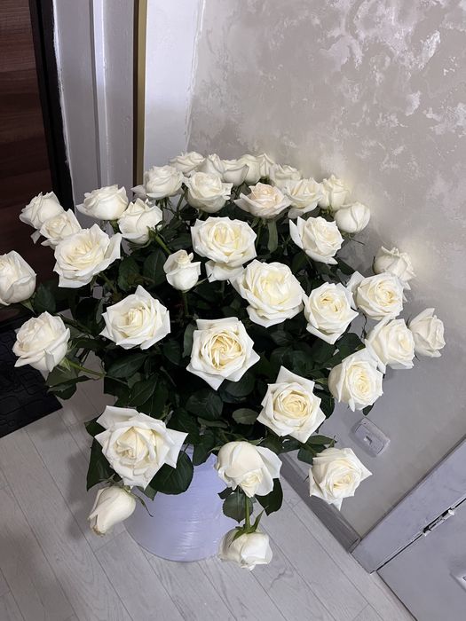 Роза белый 39 шт