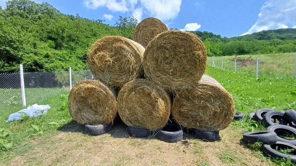 Baloți fân de anul acesta