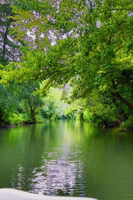 Професионални фотосесии – специална оферта за нови клиенти!