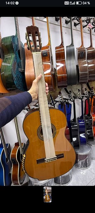Classic gitara C8