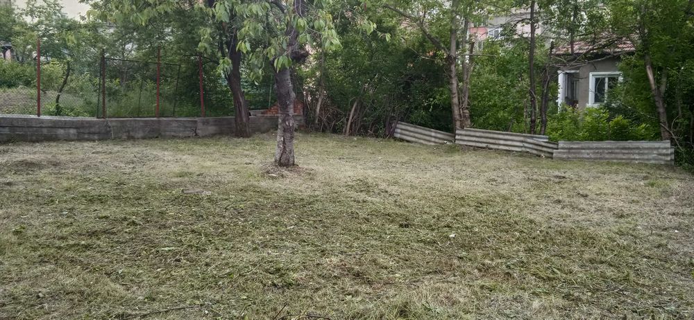 Опасни дървета рязане косене непроходима растителност почистване от-до