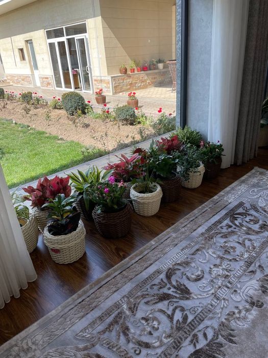 Rotandgan to'qilgan tuvak