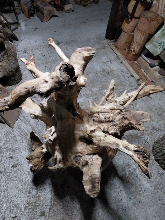 Декорация за градината- 2 корена от Дъб