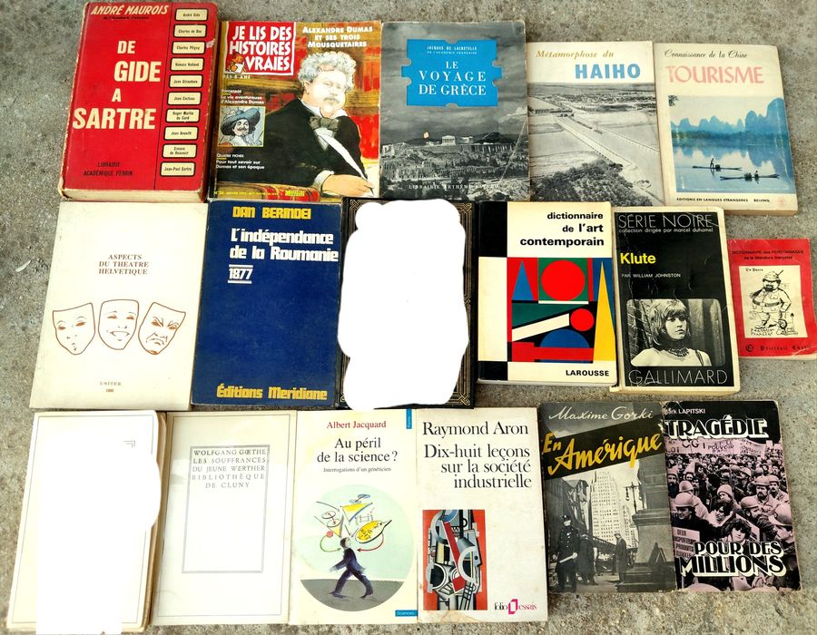 Vând ieftin loturi de cărți vechi în limbi străine – franceză, germană, spaniolă, rusă și altele