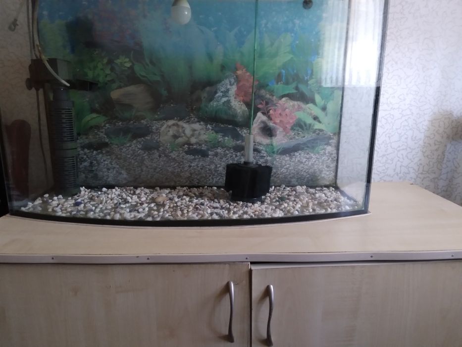 Сатылады 100 л аквариум.