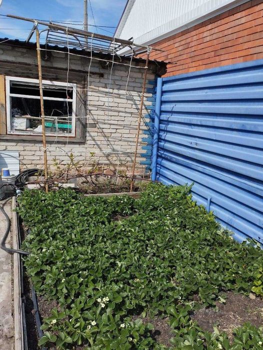 Дом в городе с ухоженным участком