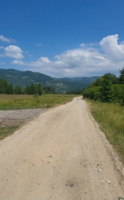 Teren de vânzare Șaru Dornei