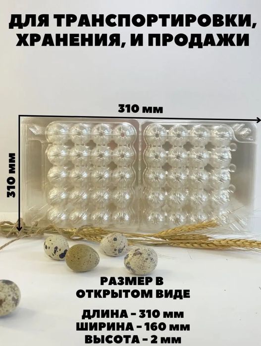 Упаковка для перепелиных яиц