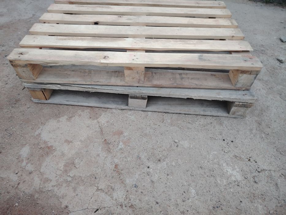 эвро подомсатылады