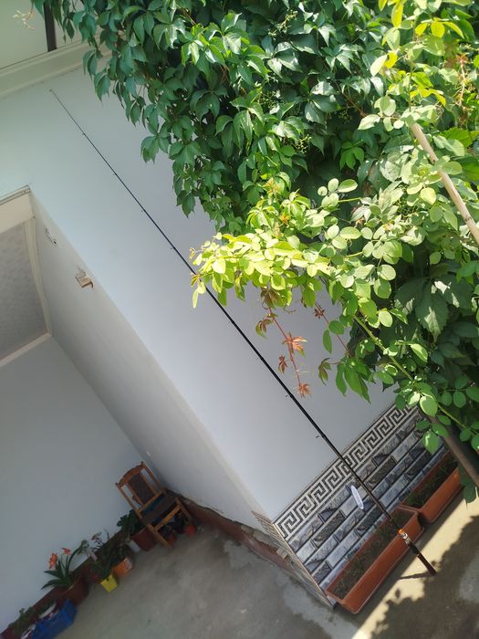 Qarmoq sotiladi Orginal