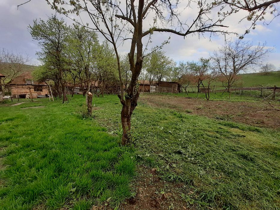 Casa la tara, sat Barai, com. Caianu, judet Cluj